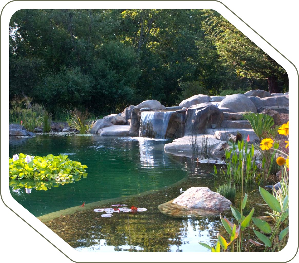 Biopiscina permacutura