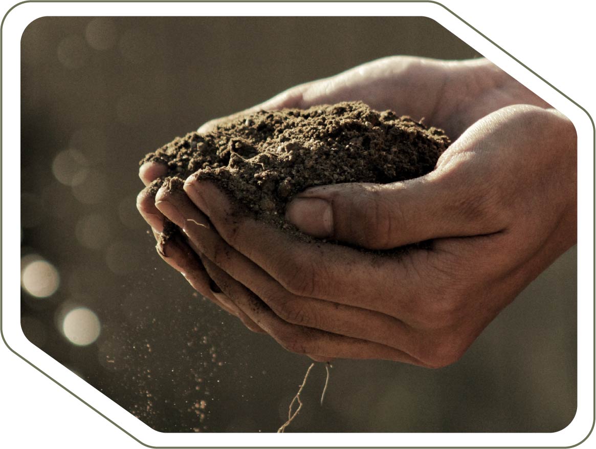 mans terra permacultura