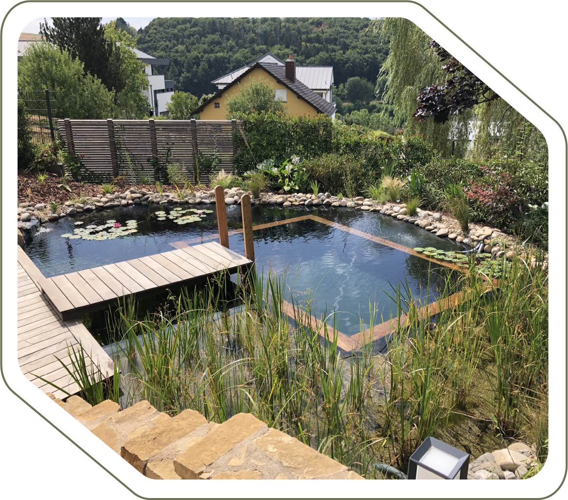 piscina ecologica permacultura