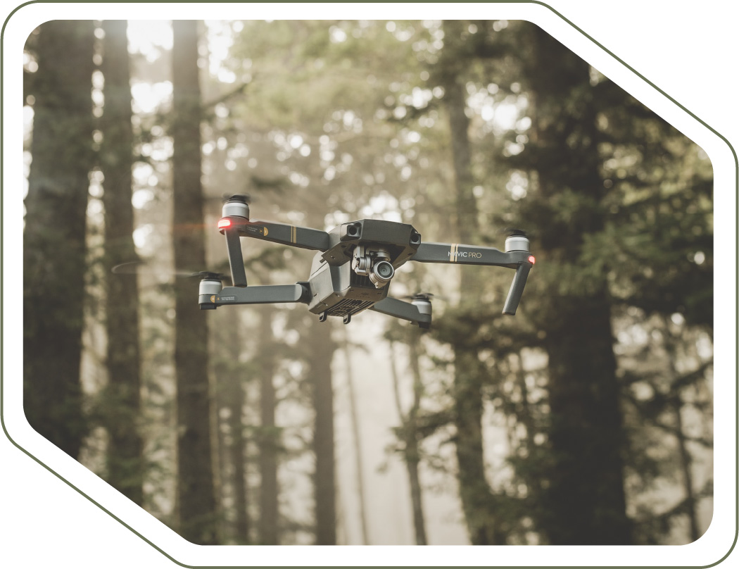 servicios_permacultura_grande_babarro