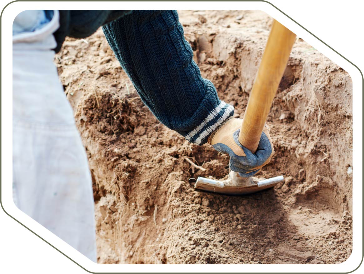 trabajando la tierra