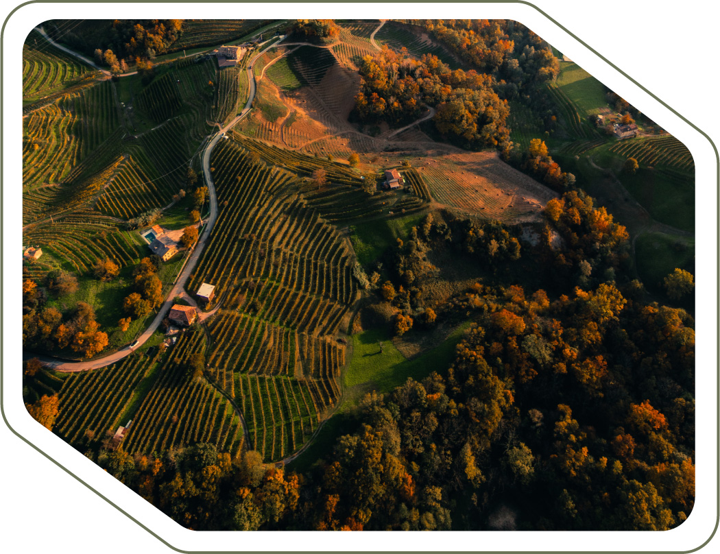 trabajo_drones_permacultura_grande_babarro