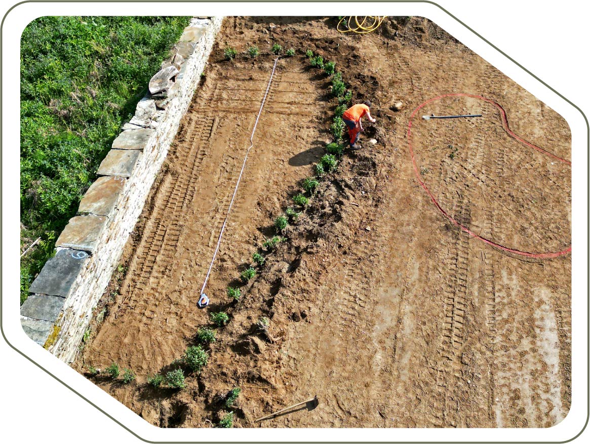 vista aerea internvencion ecologismo